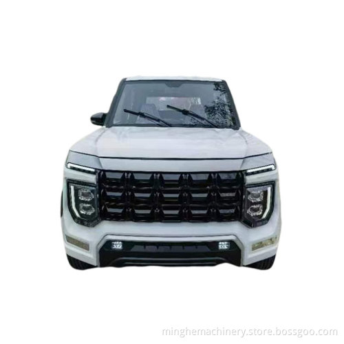 Low Price 2022 New Sedan EV Electric Car High Speed Cars for Adults